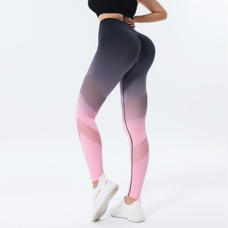 FitGym Pantalones Deportivos